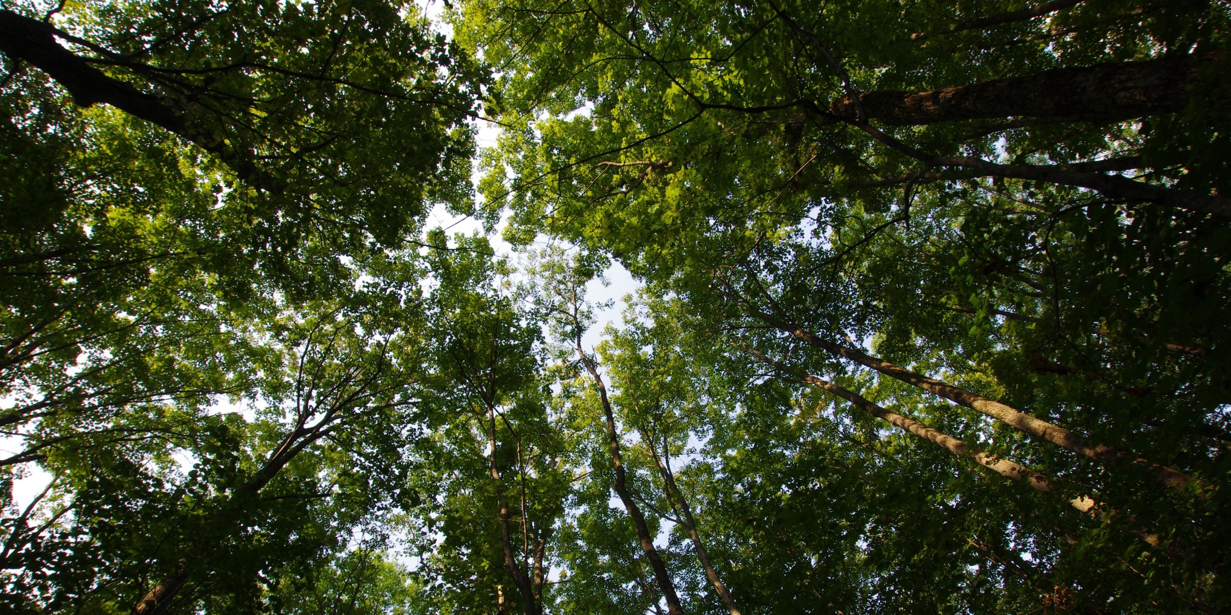 SUSTAINABILITY