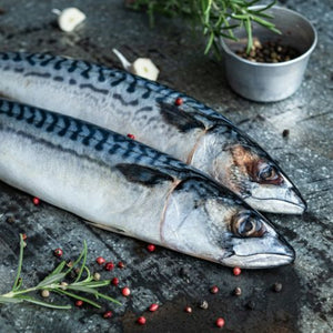 Sustainably-caught Fish Bones