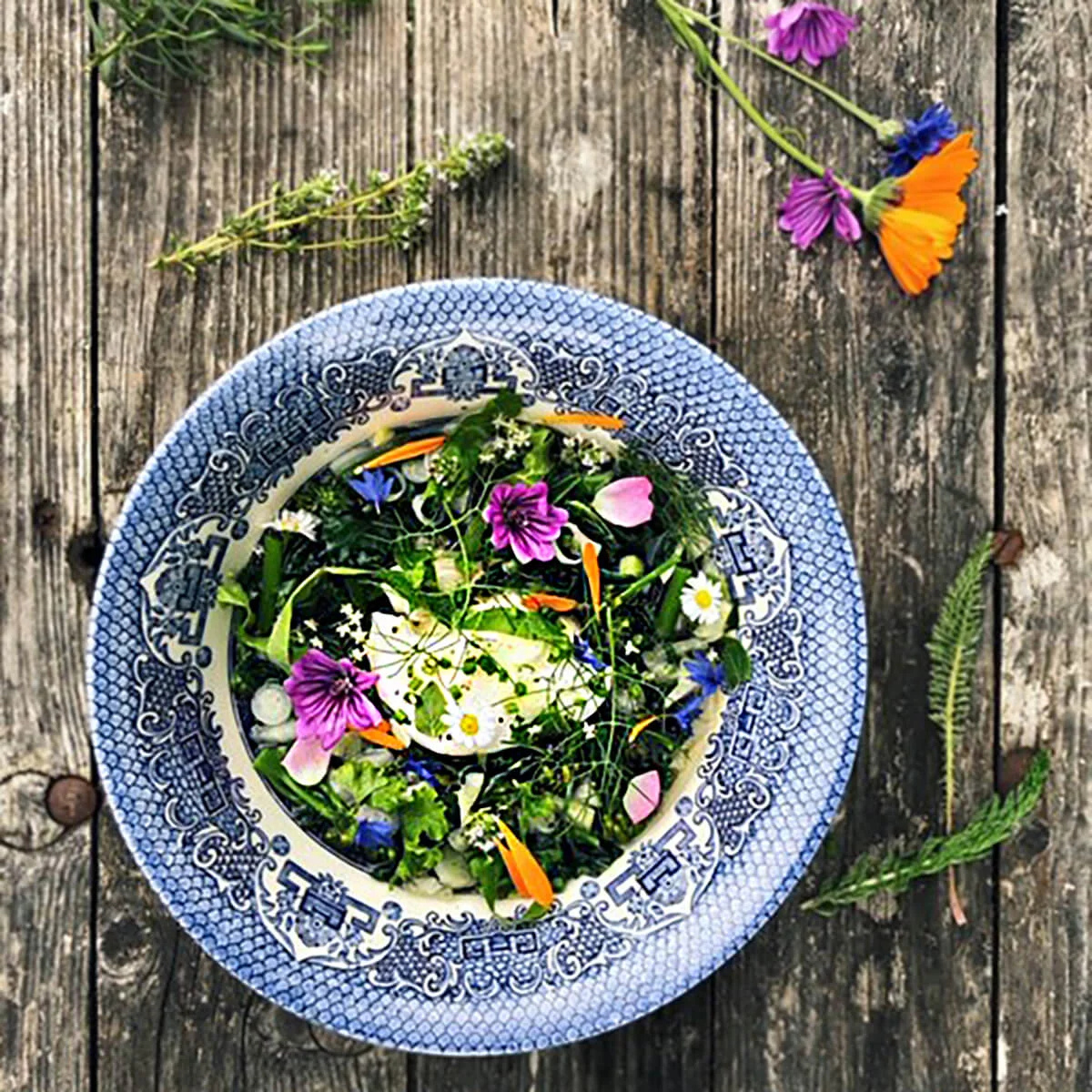 Gardener’s Herbal Broth