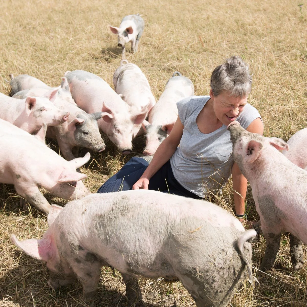 Helen Browning's Organic