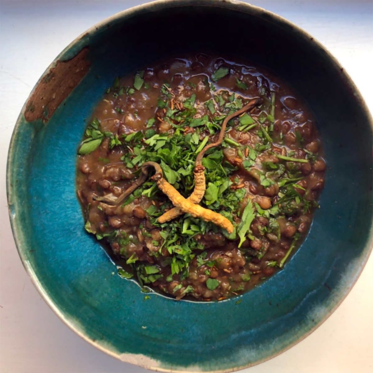 Cordycep Mushroom and Lentil Soup