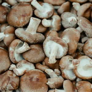 Organic Shiitake Mushrooms