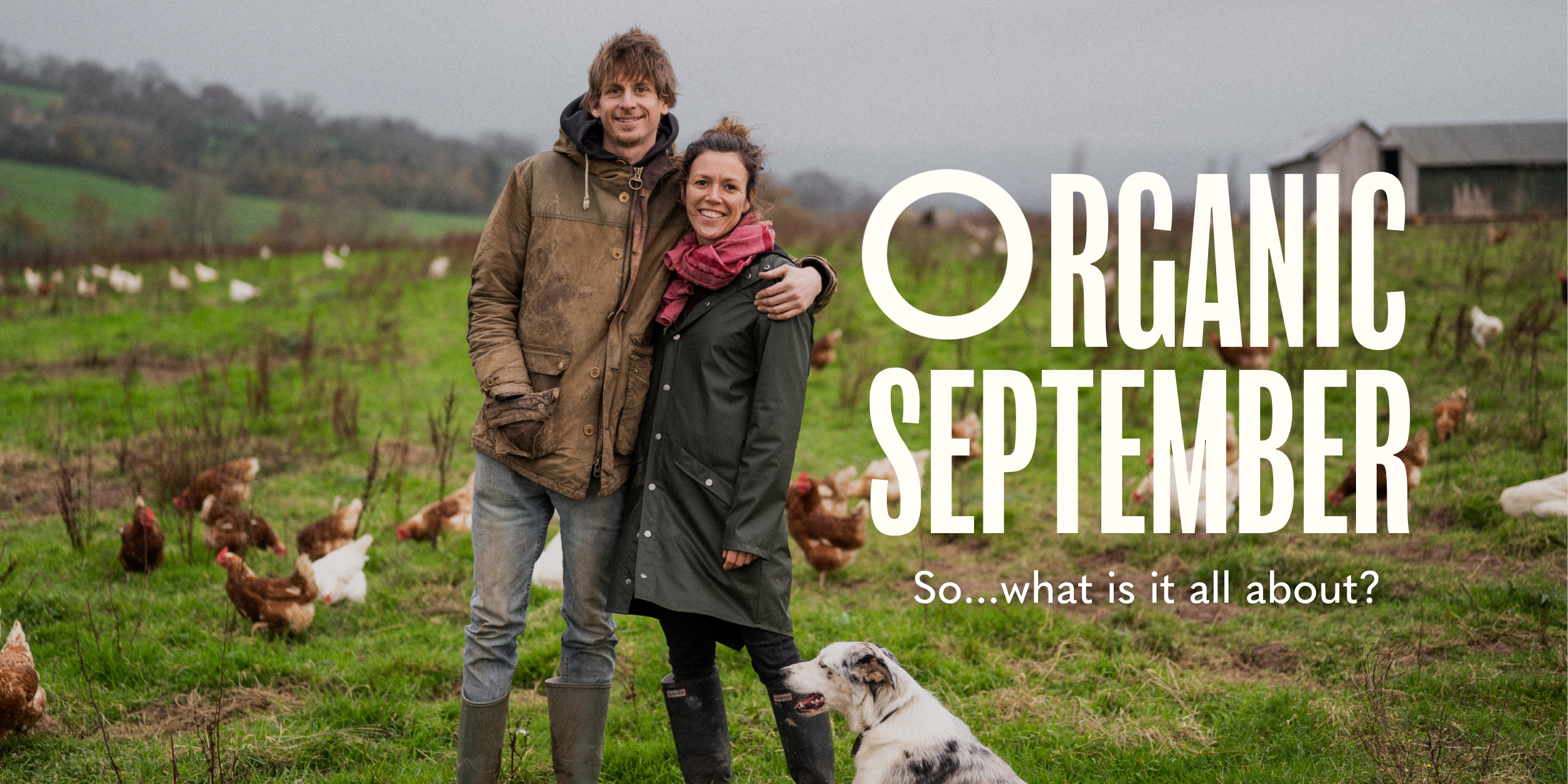 Organic September image