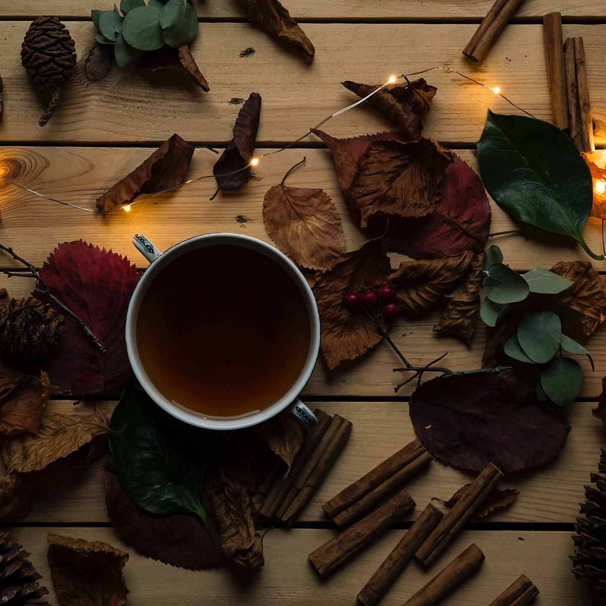 Cinnamon Spiced Broth