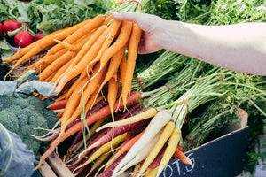 Organic Carrots